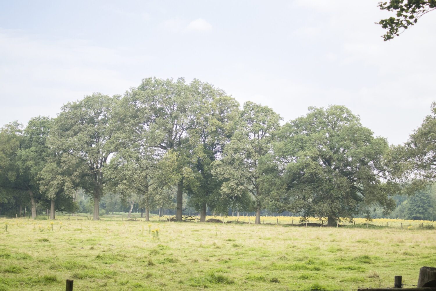 wandelroute kampina