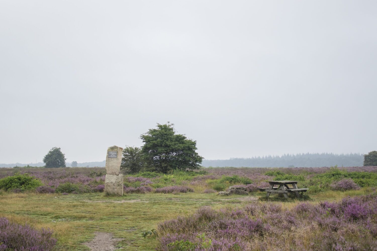 wandelen Ginkelse Heide