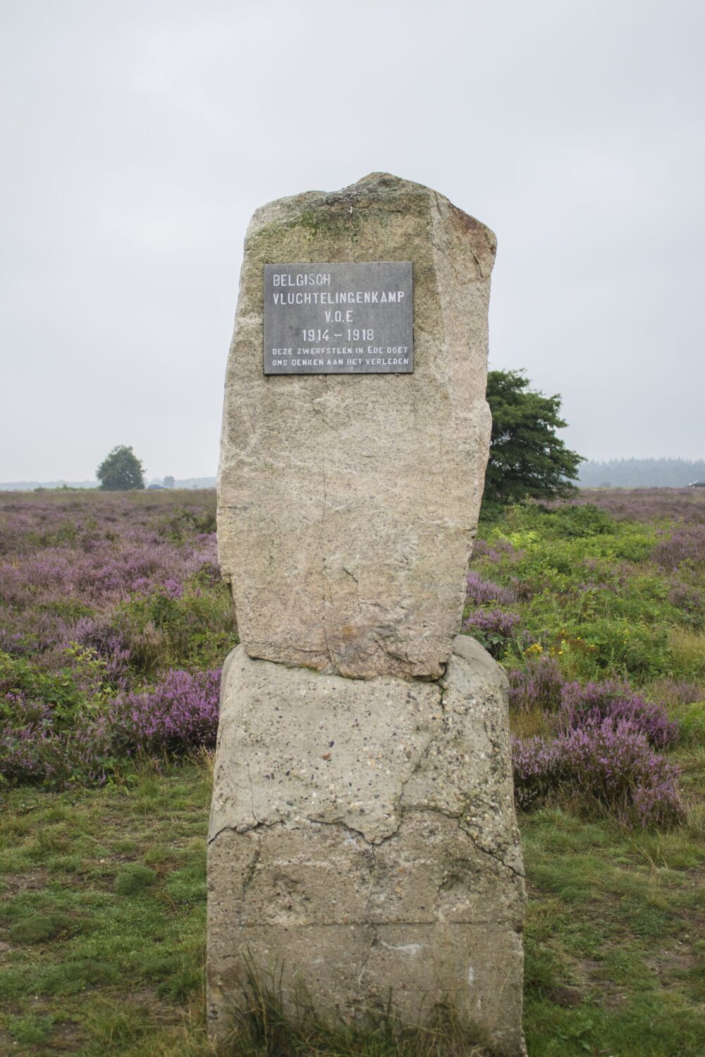 wandelen Ginkelse Heide