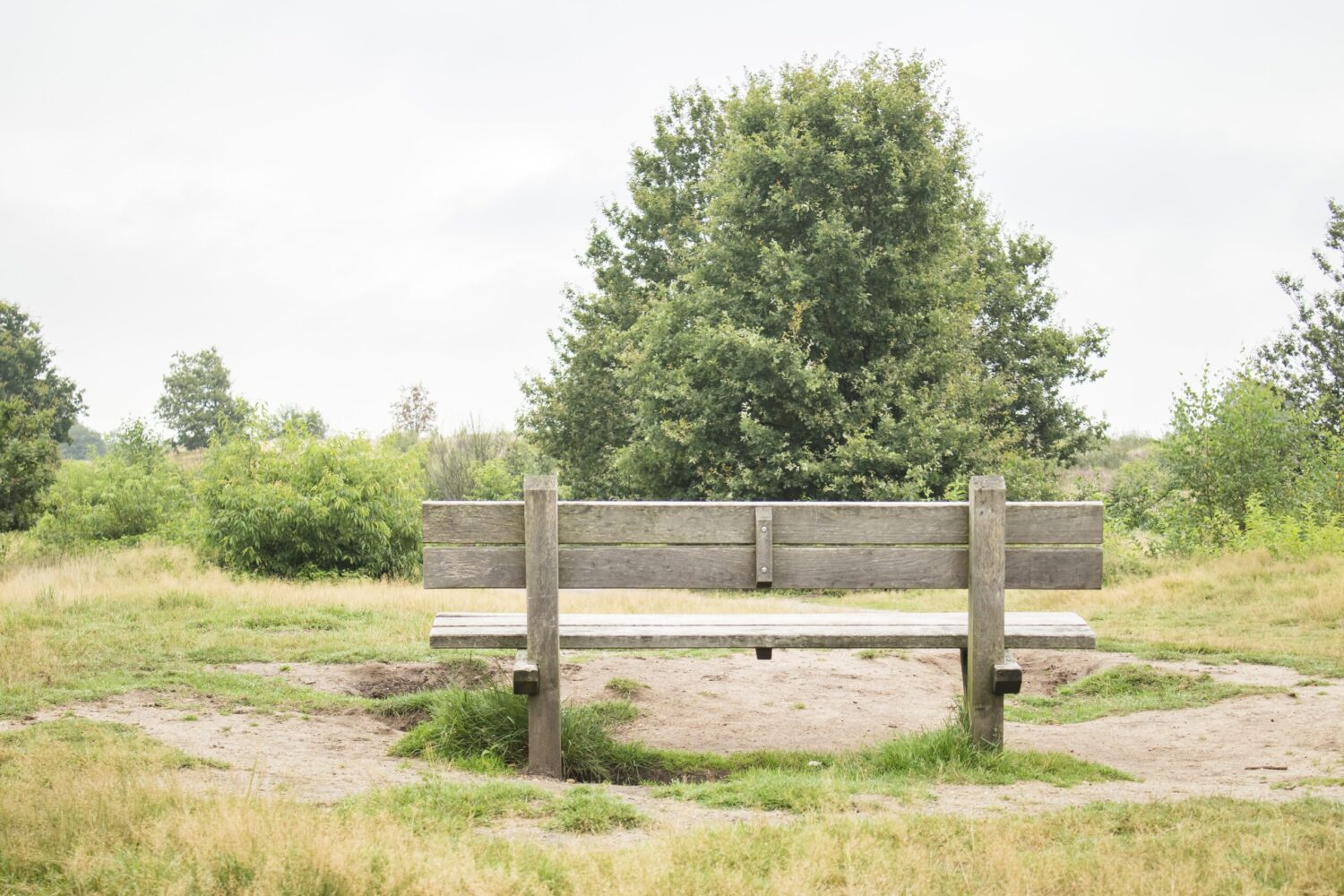 wandelen Ginkelse Heide