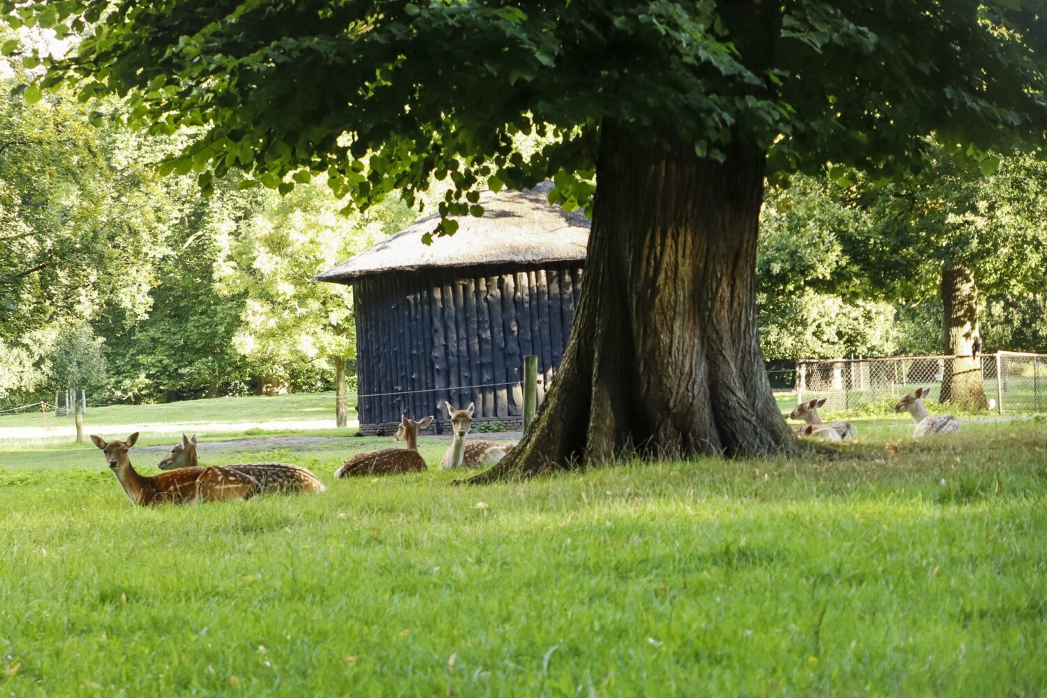 wandelroute Beeckestijn