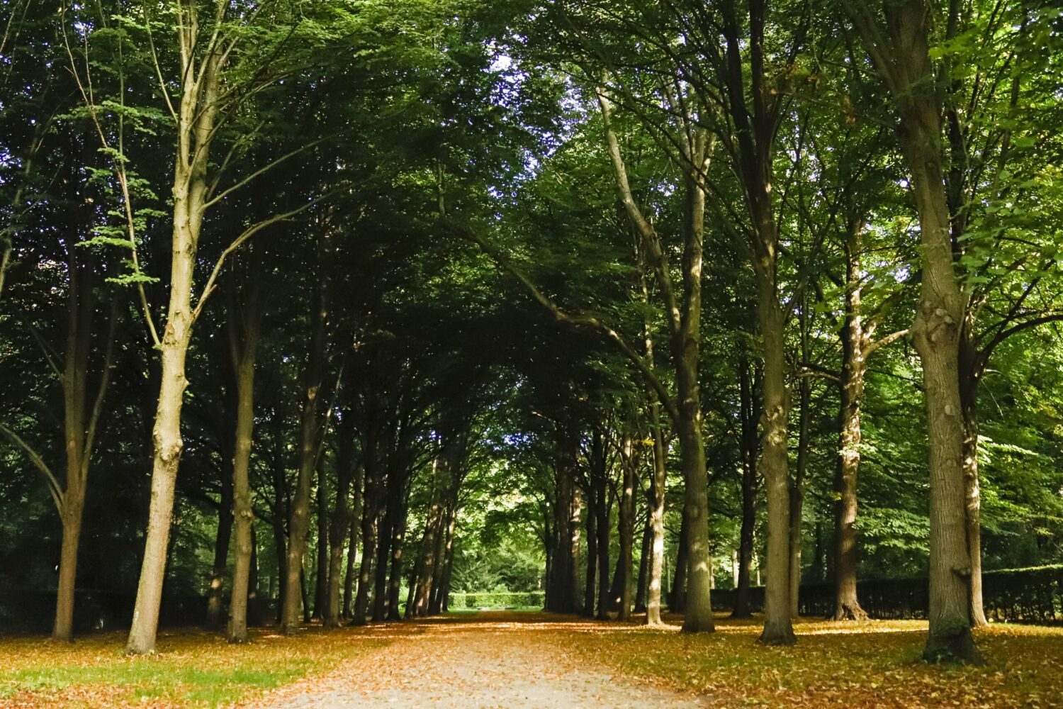 wandelroute Beeckestijn