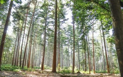 Rode wandelroute Eelerberg 
