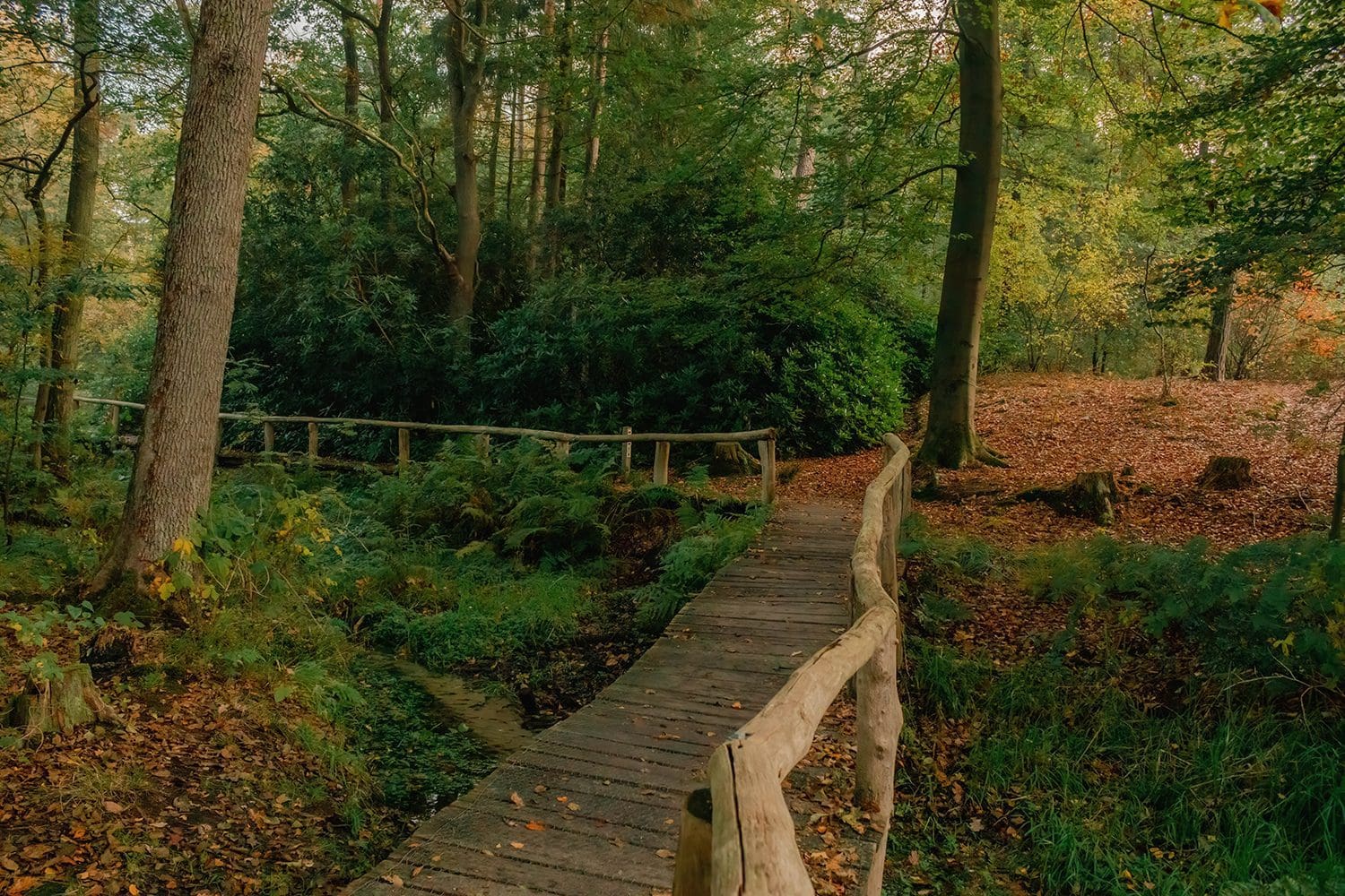 Komootroute Springendal