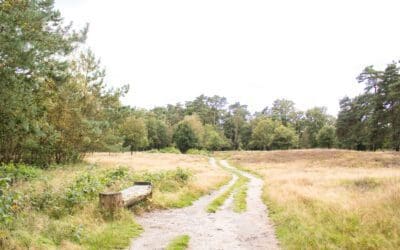 Wandelroute Het Witte Veen 