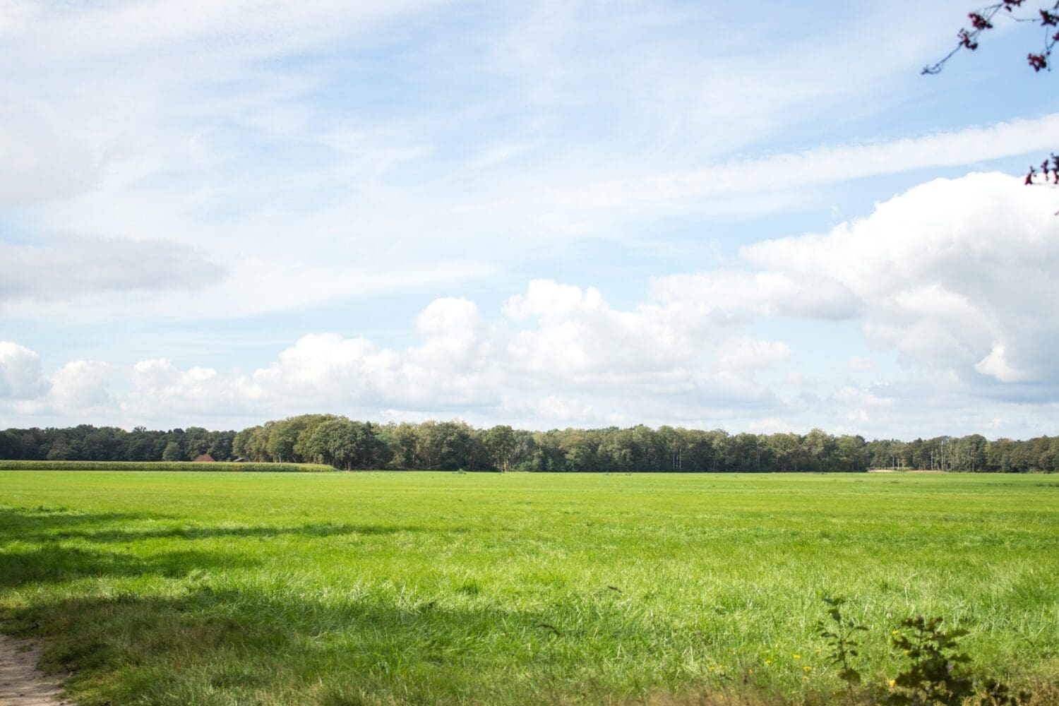 wandelroute het witte veen