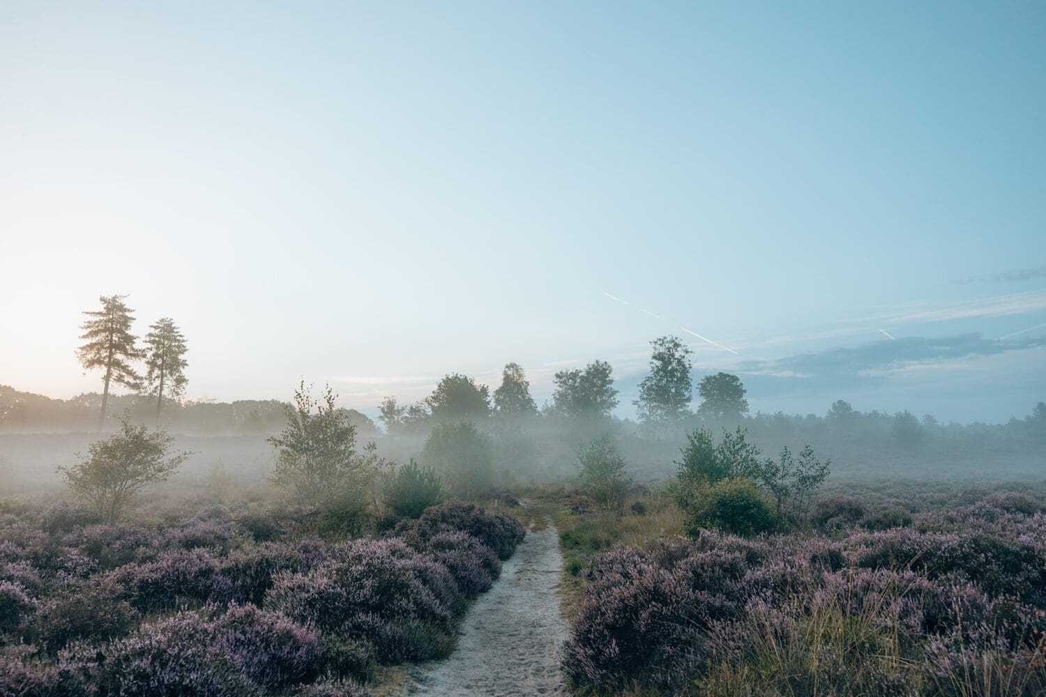 wandelen op de Utrechtse Heuvelrug