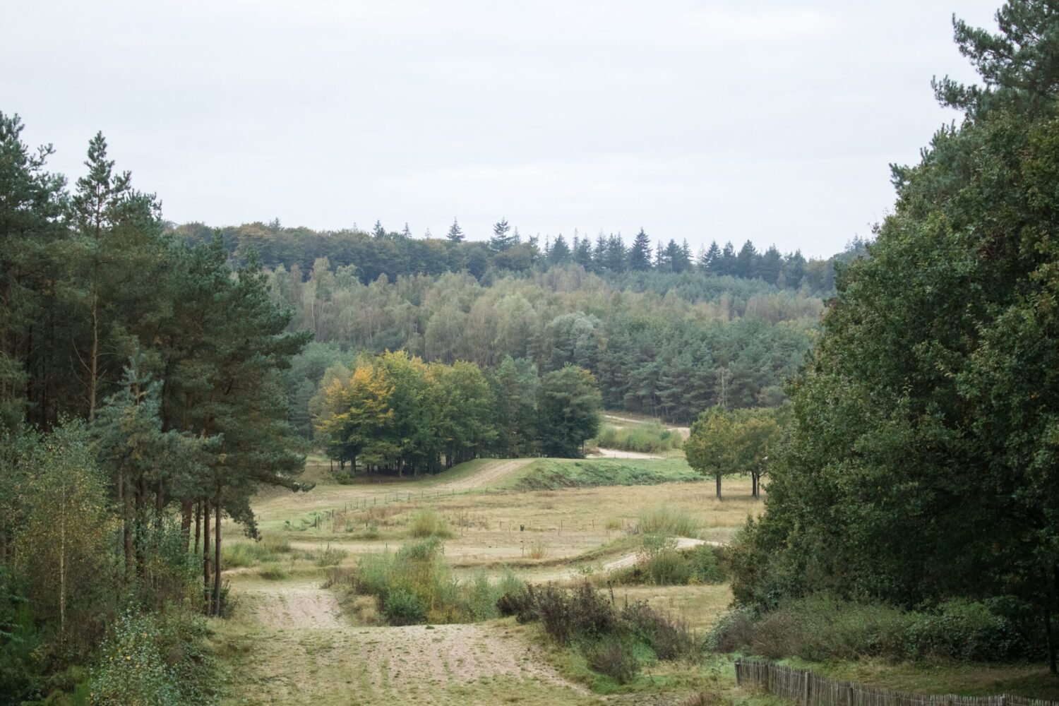 wandelen kwintelooijen