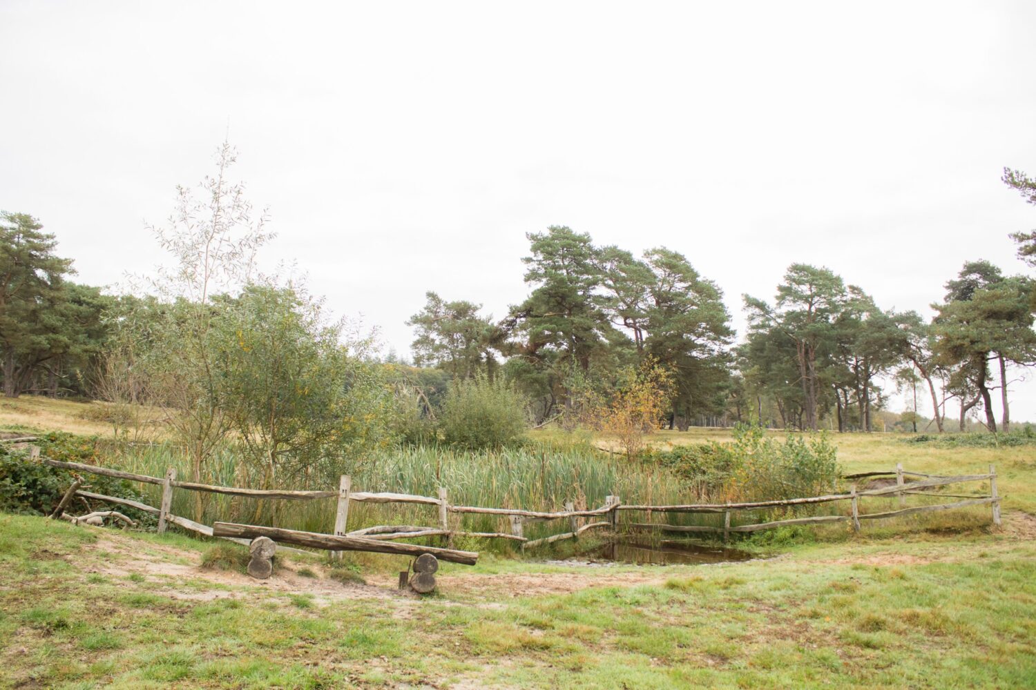 wandelen Kwintelooijen