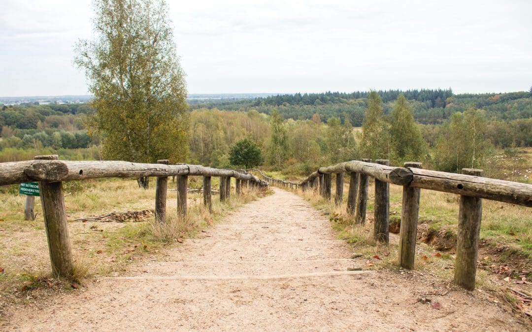 wandelen Kwintelooijen