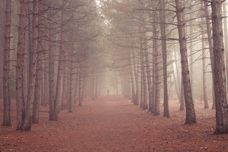 tips alleen wandelen