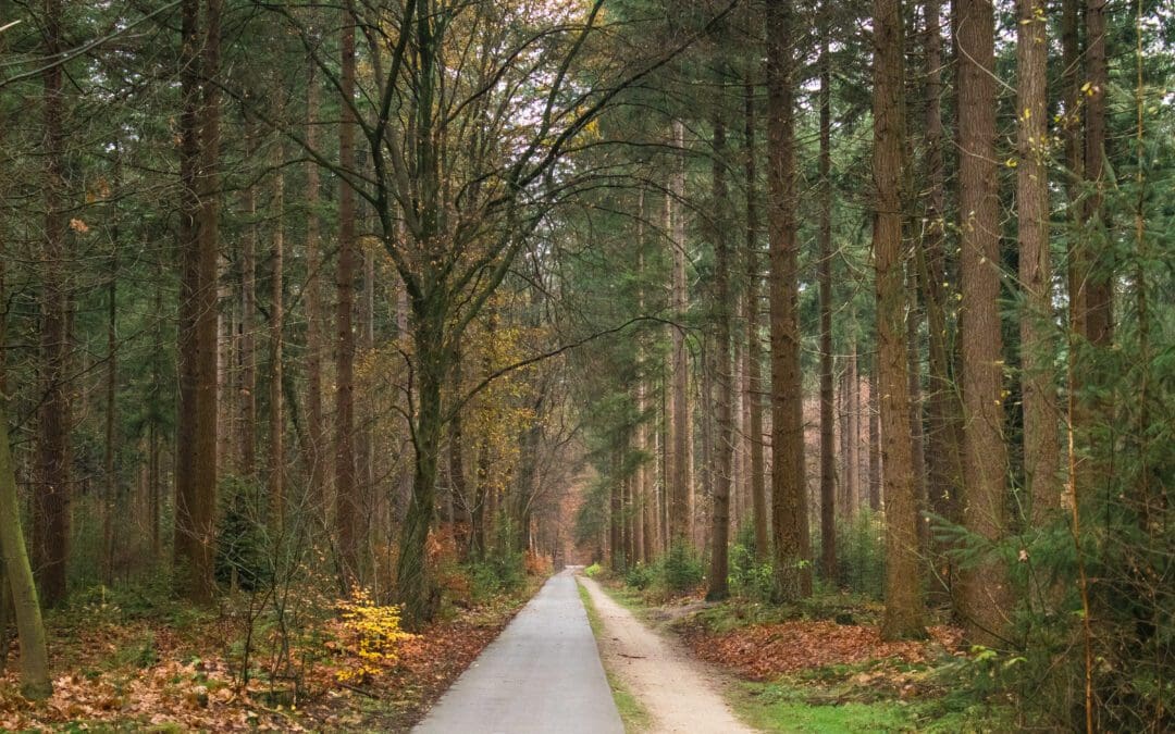 landgoed schovenhorst