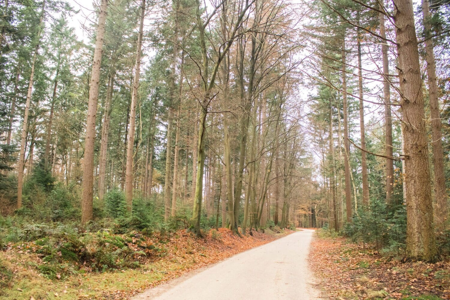 Landgoed Schovenhorst