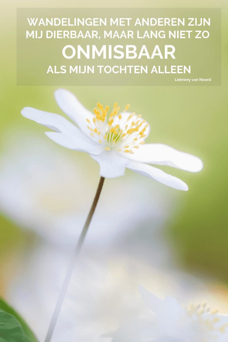 Inspirerende quotes