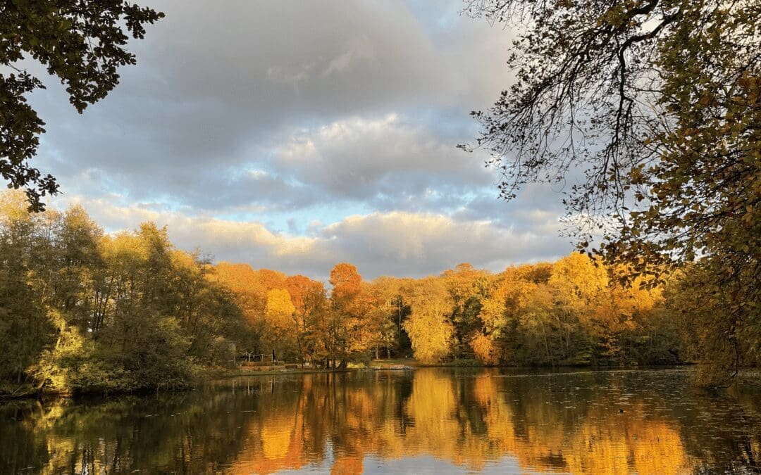 Wandelroute Sonsbeekpark