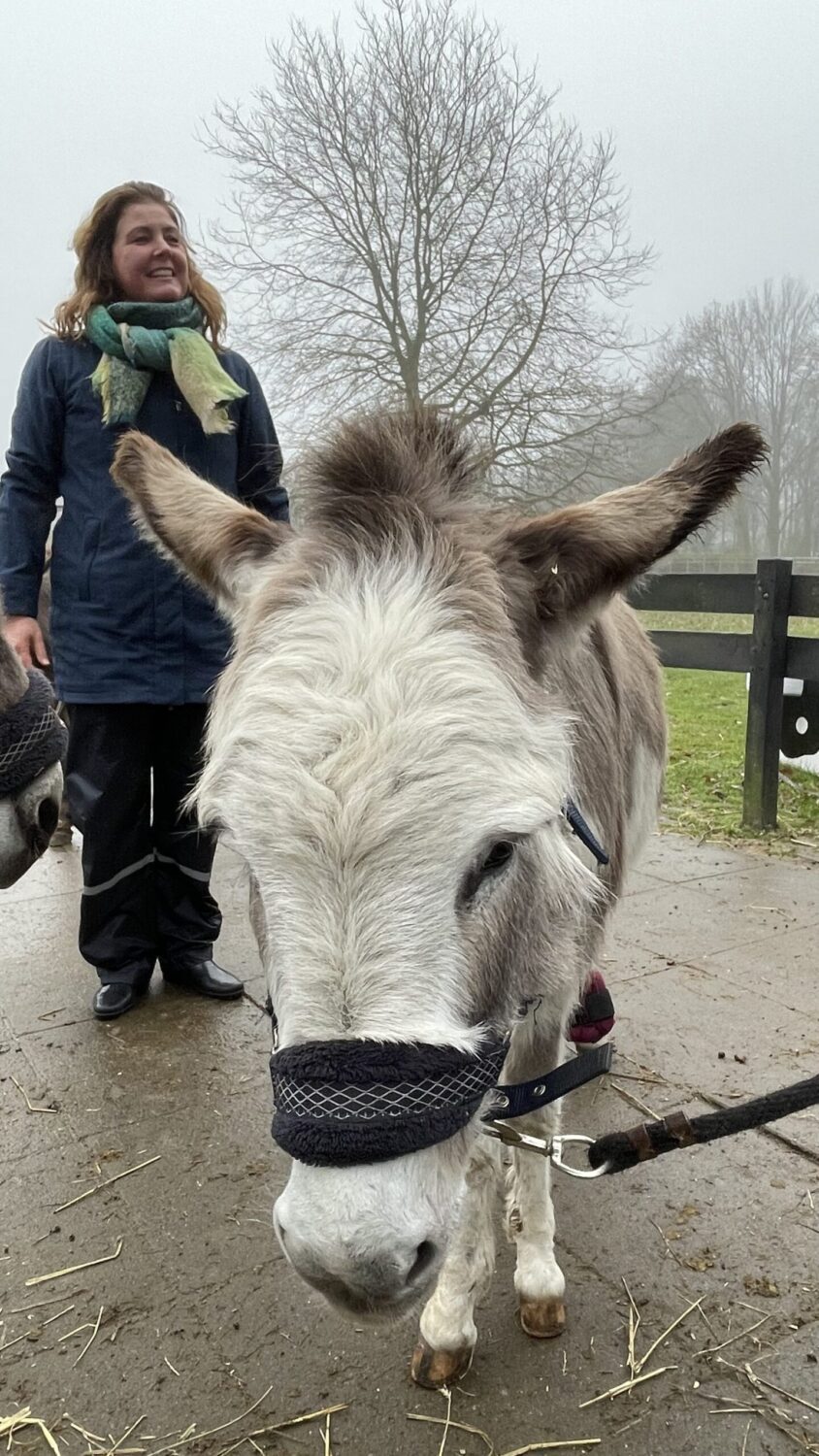 Wandelen met ezeltjes