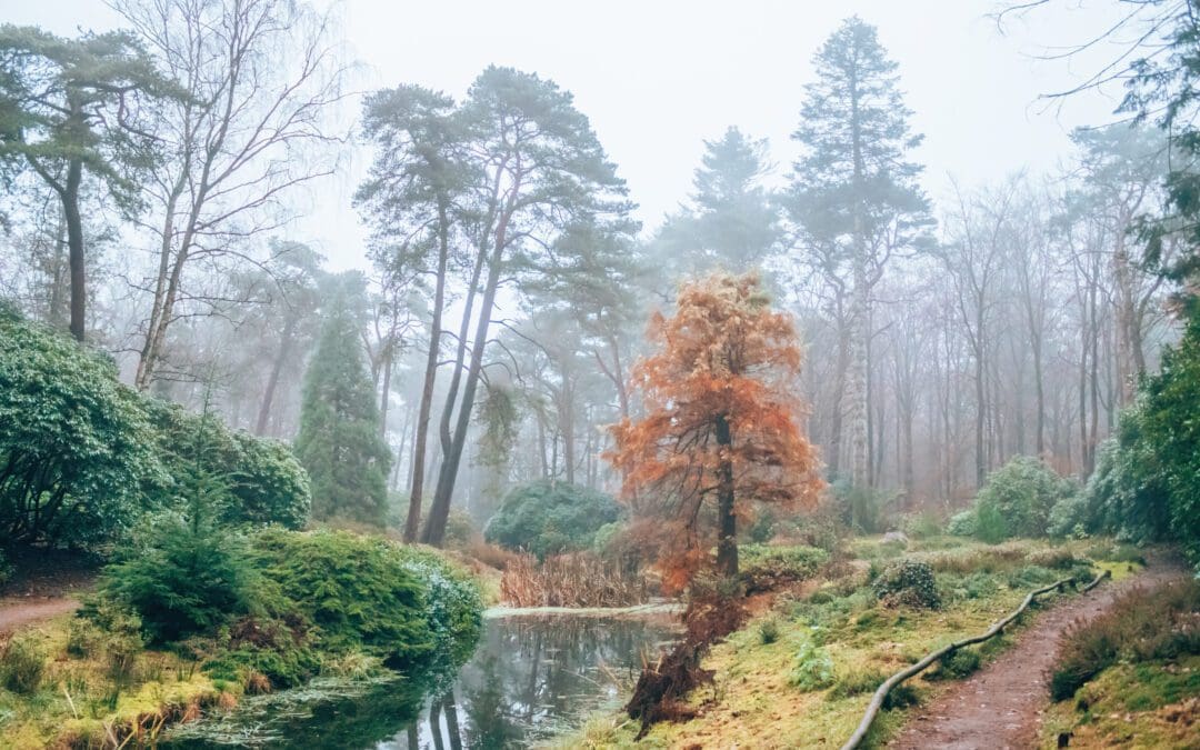 wandelroute driebergen