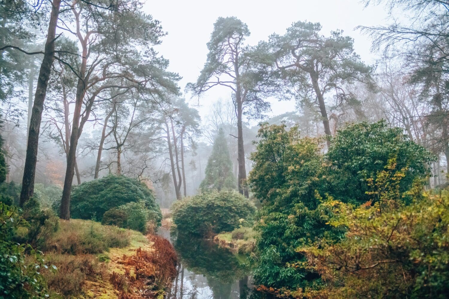 wandelroute Driebergen