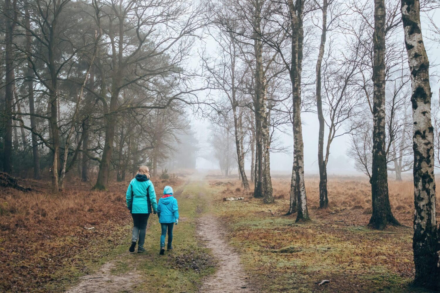 Wandelroute Kampina