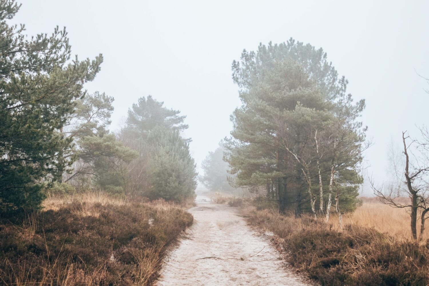 Wandelroute Kampina