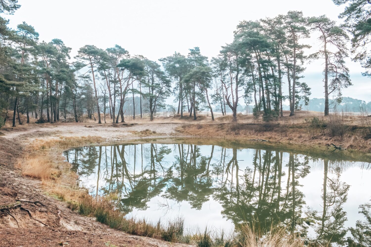 Wandelroute wekeromse zand