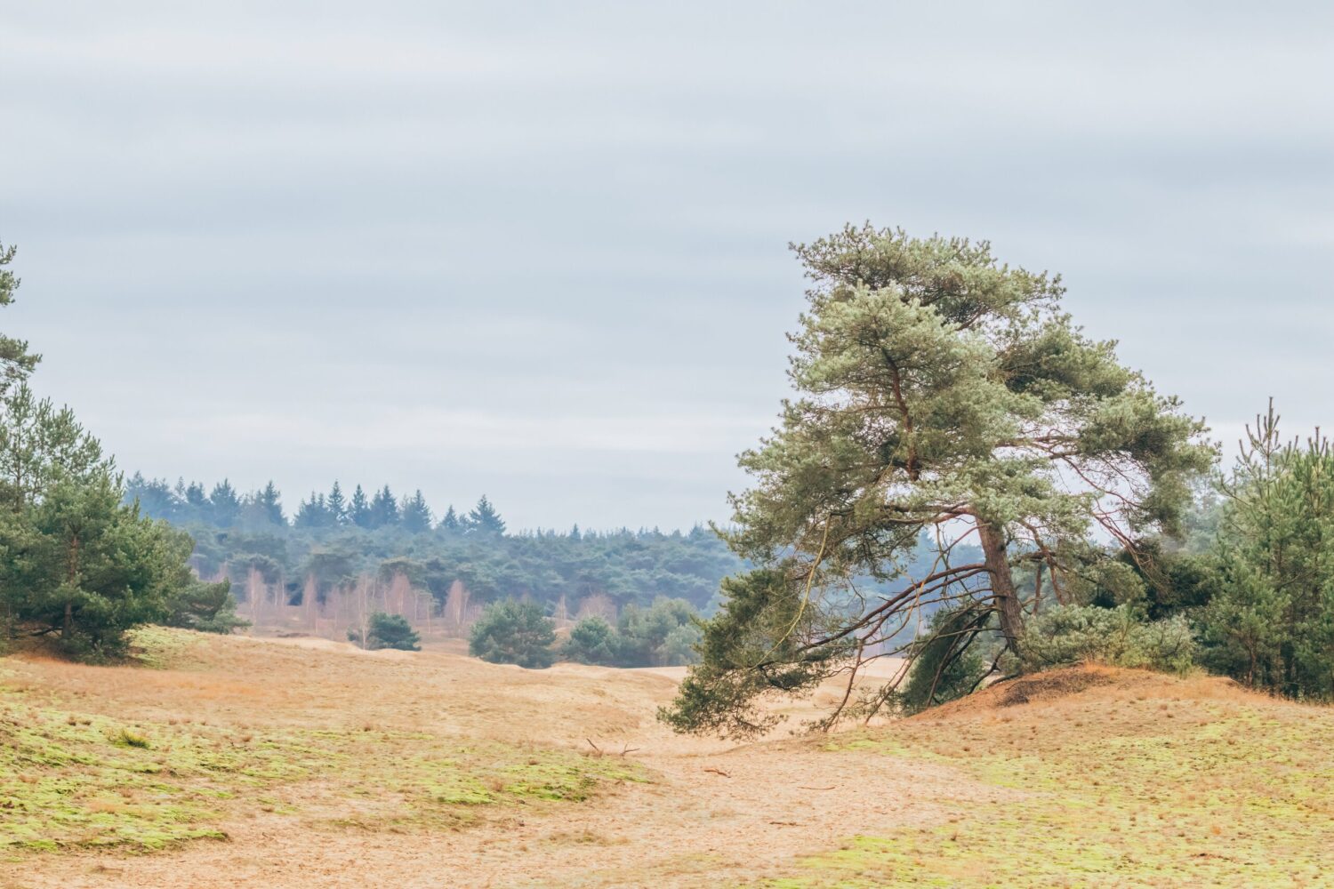 Wandelroute wekeromse zand