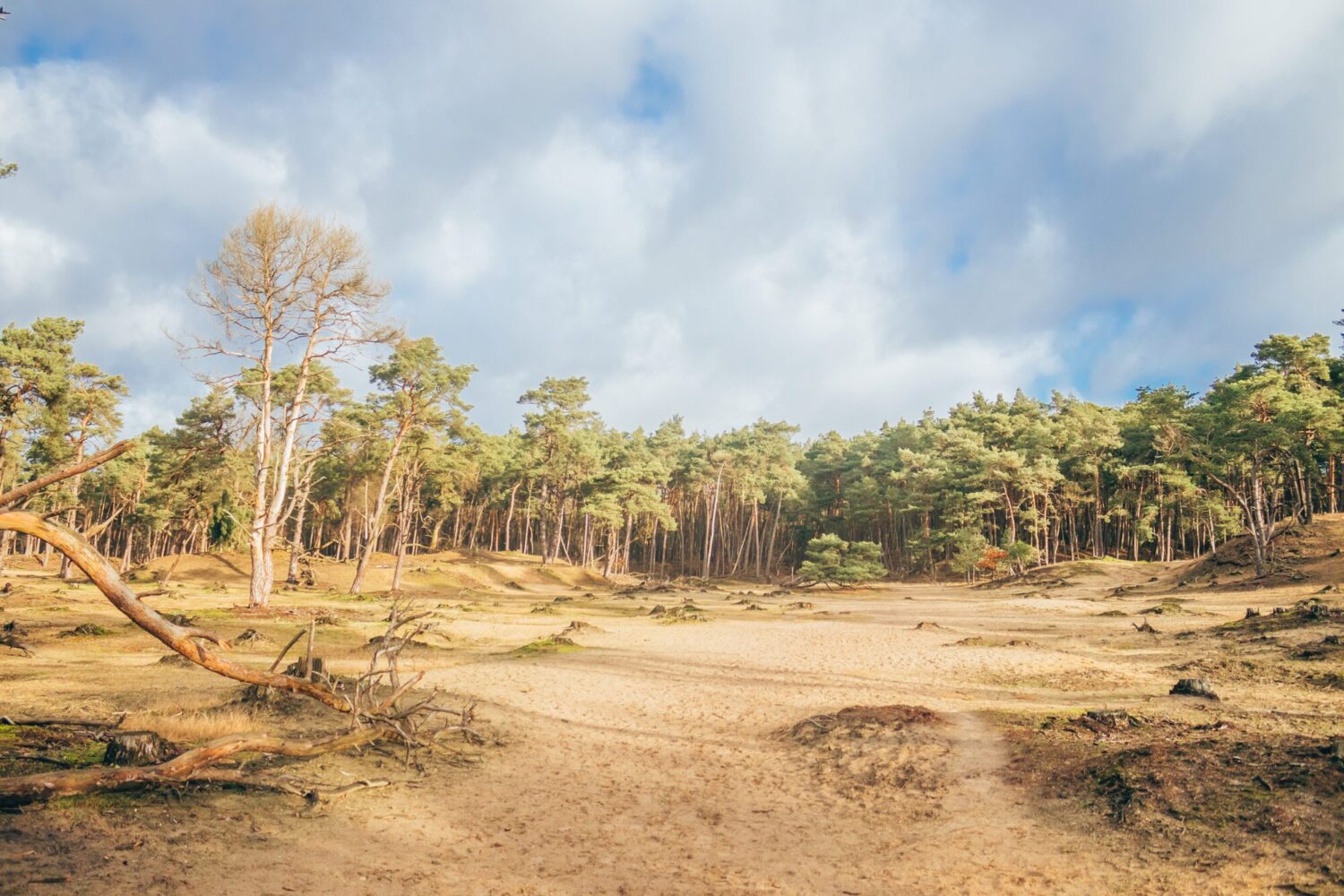 wandelen bornia