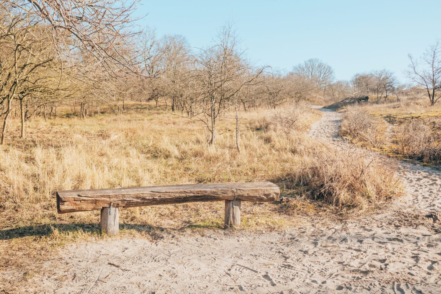 wandelen Meijendel