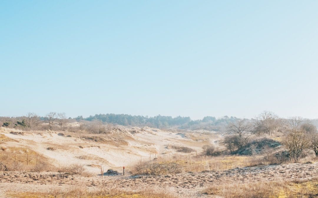 wandelen Meijendel