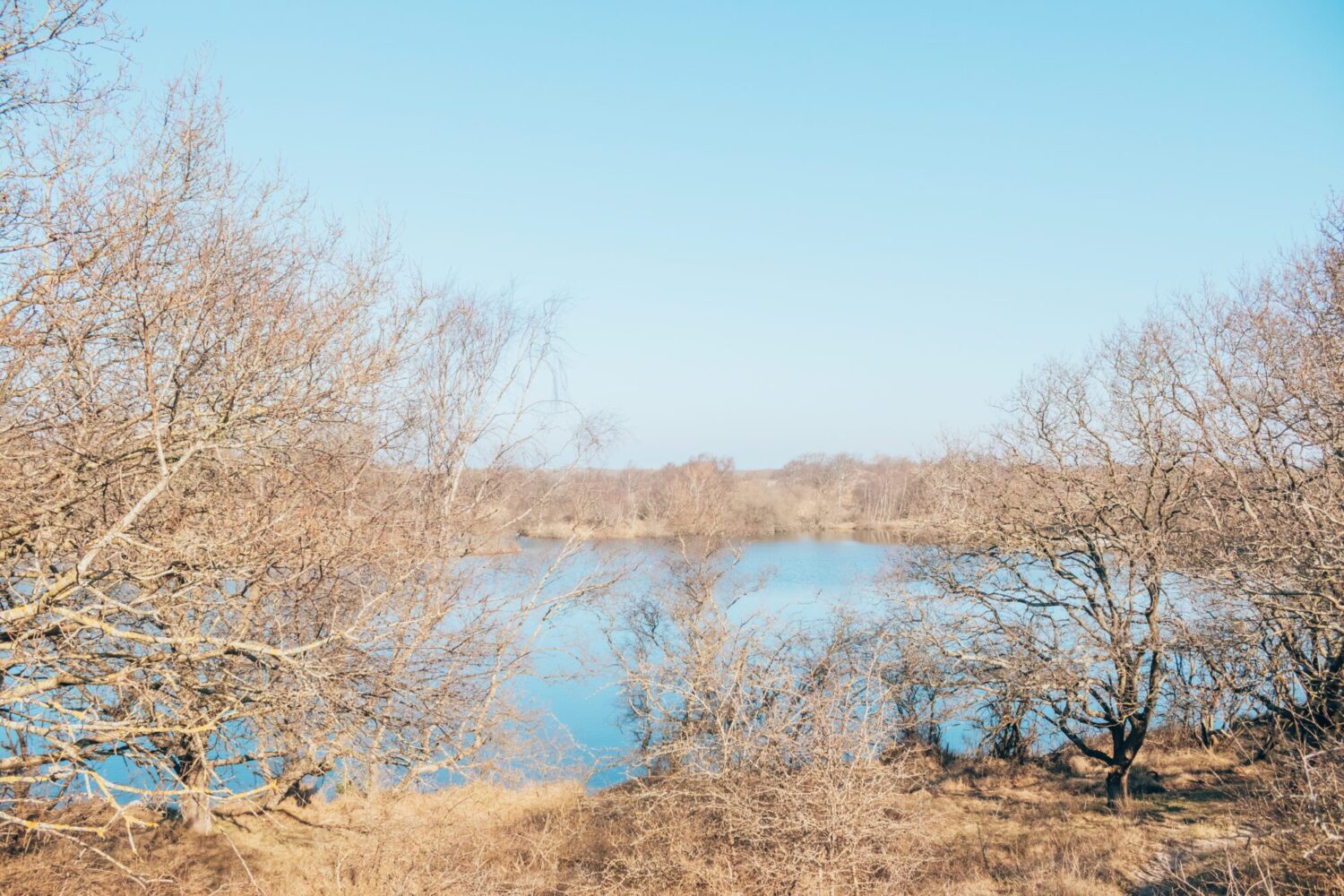 wandelen Meijendel