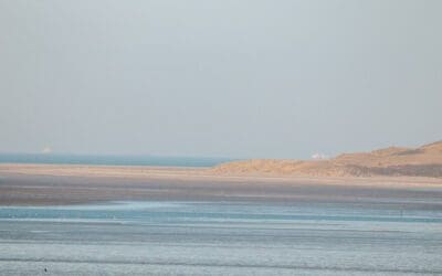 Wandelroute Oostvoorne: duinen, bossen en strand