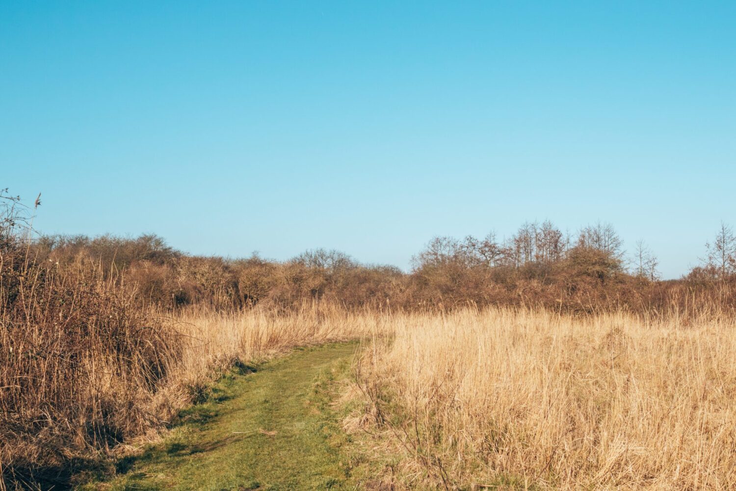 wandelroute oostvoorne