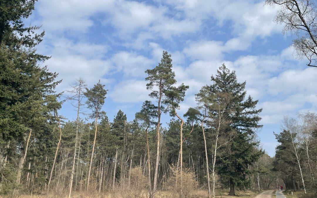 hellendoornse berg