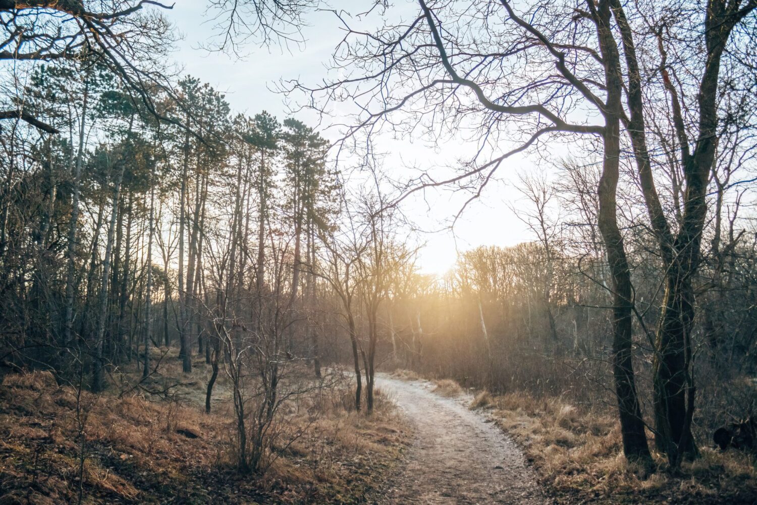 landgoed duin- en kruidberg