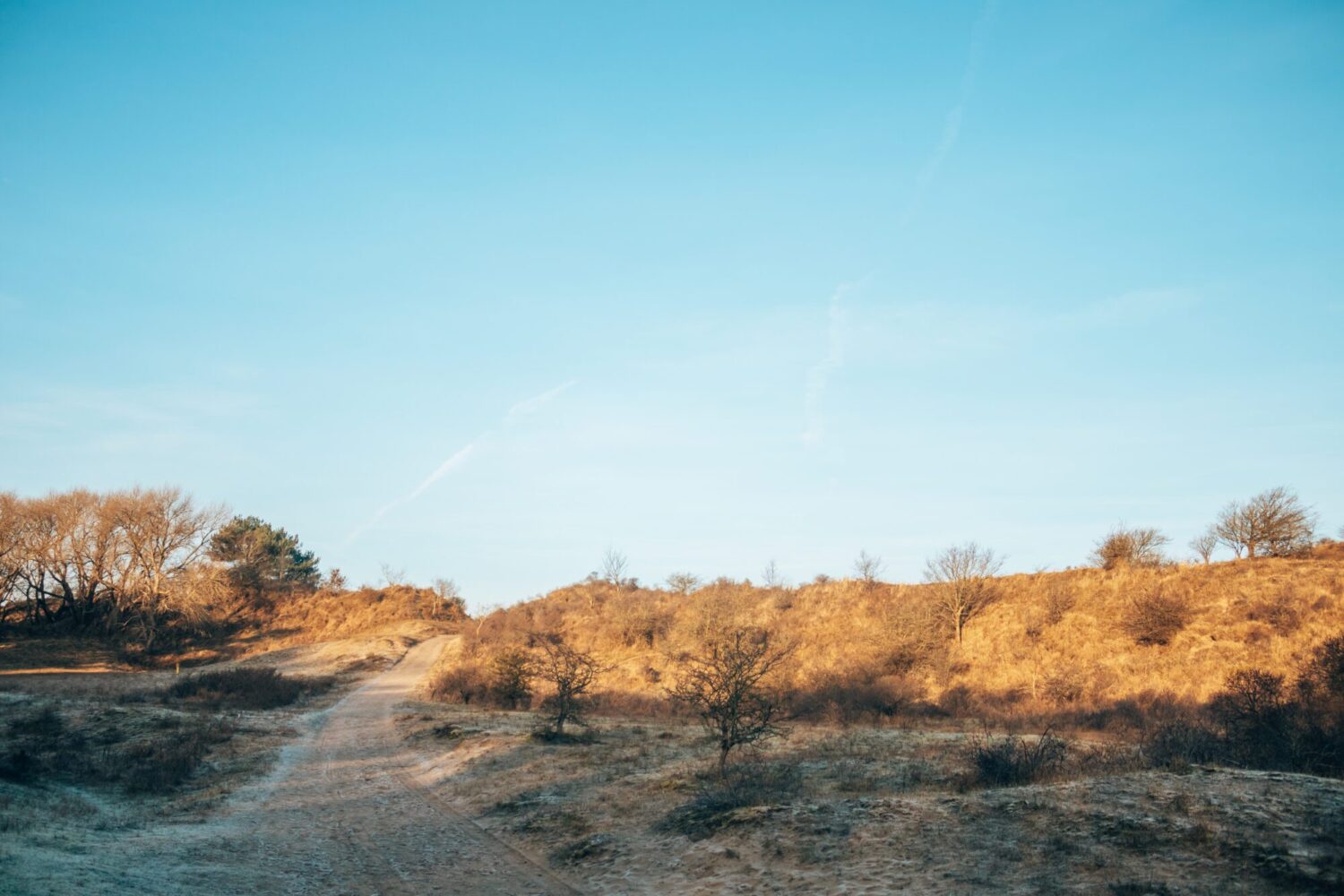 landgoed duin- en kruidberg