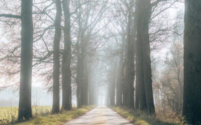 Trage Tocht Colckhof en Alerdinck