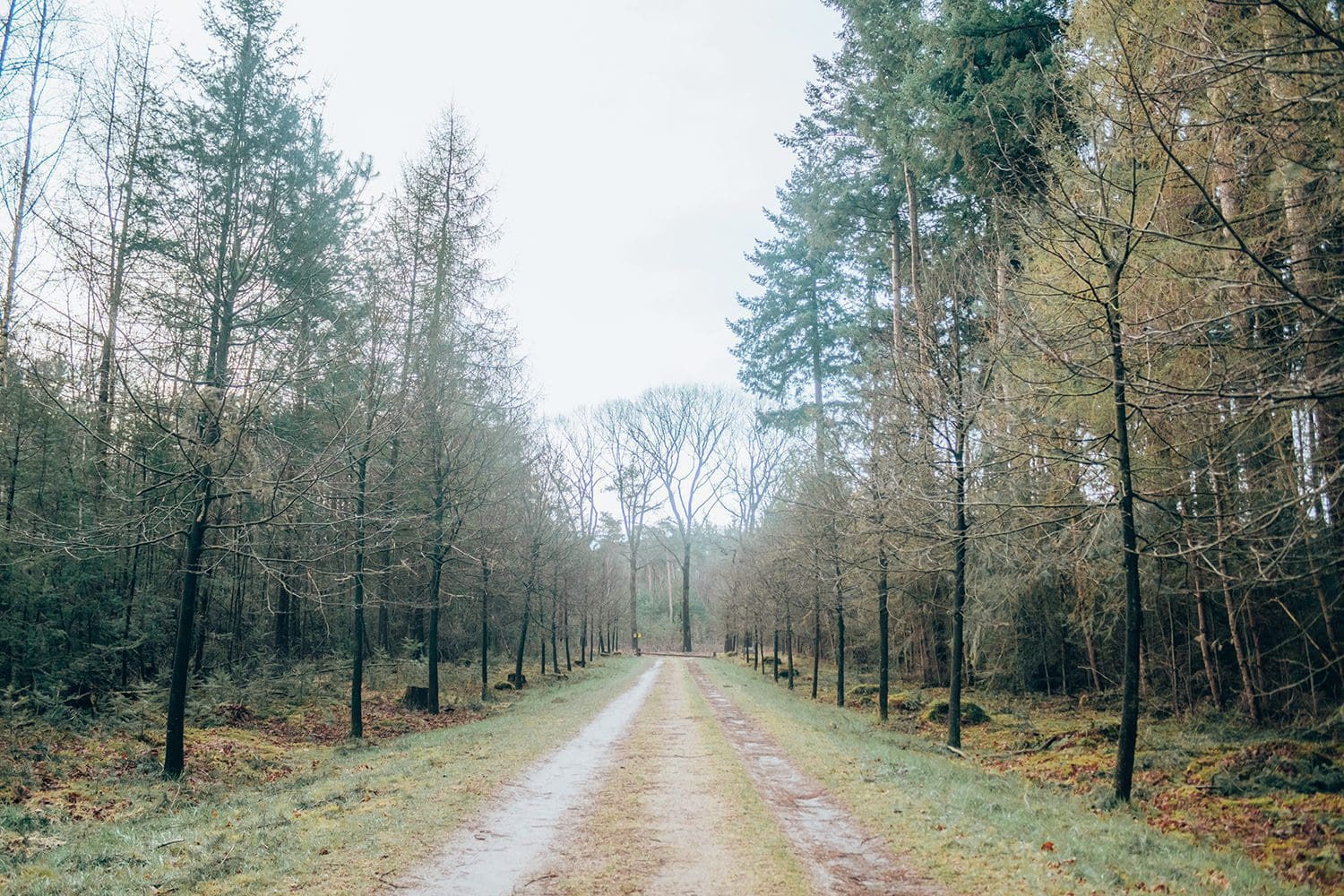 Trage Tocht Sprengenberg