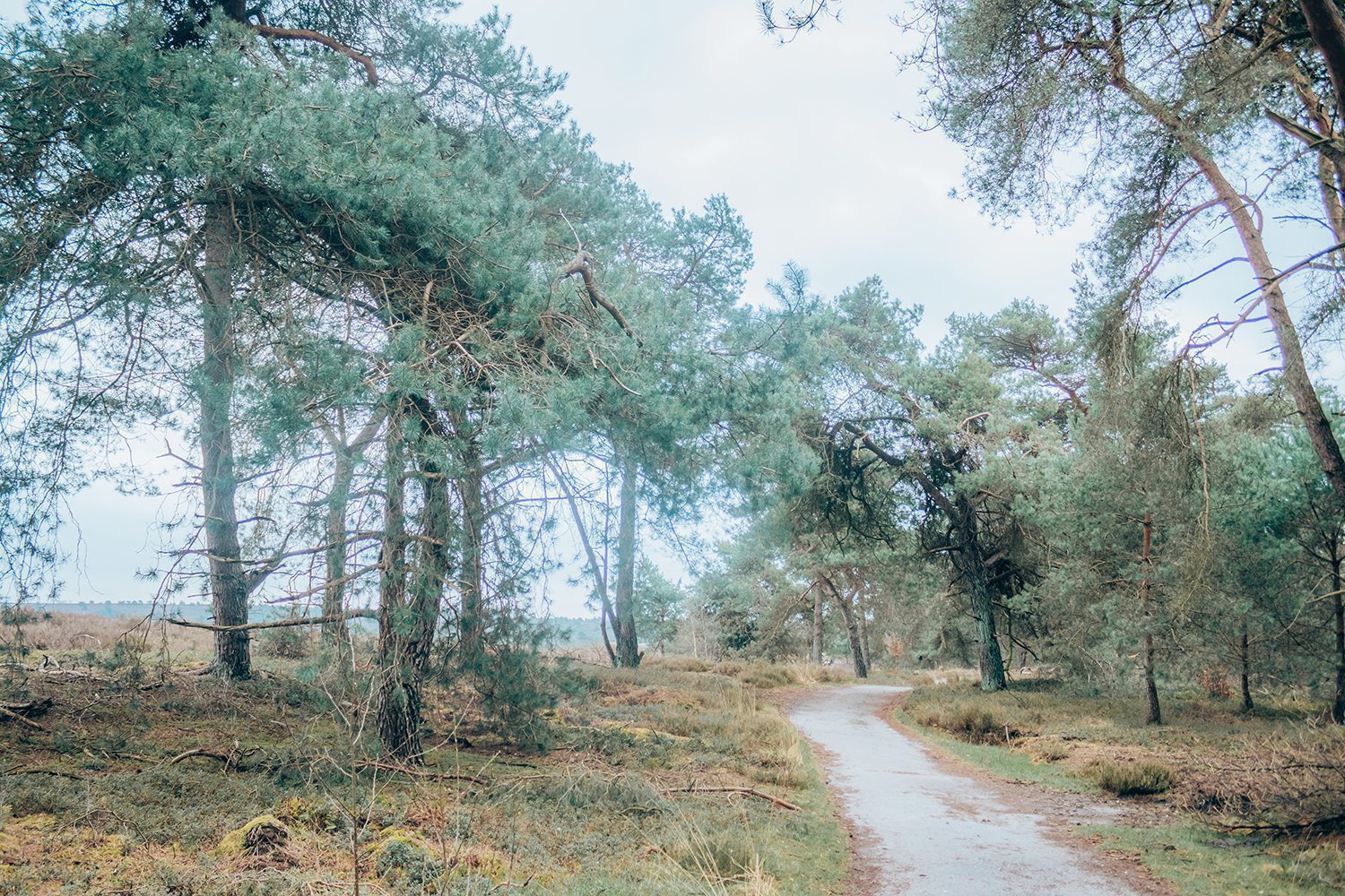 Trage Tocht Sprengenberg