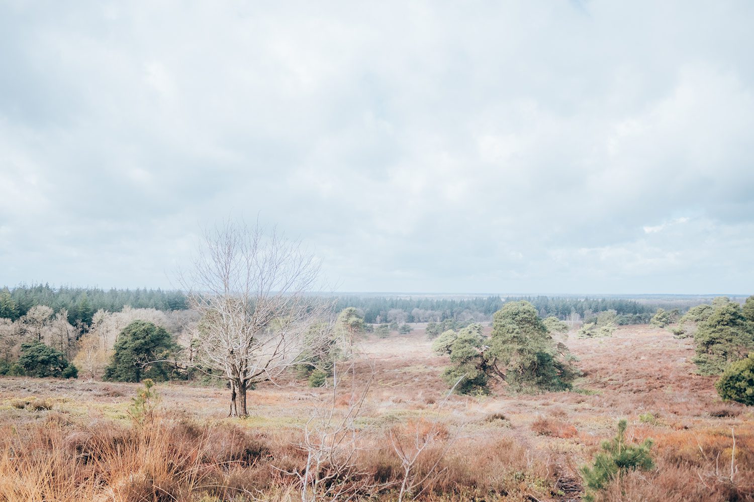 wandelroute Holterberg