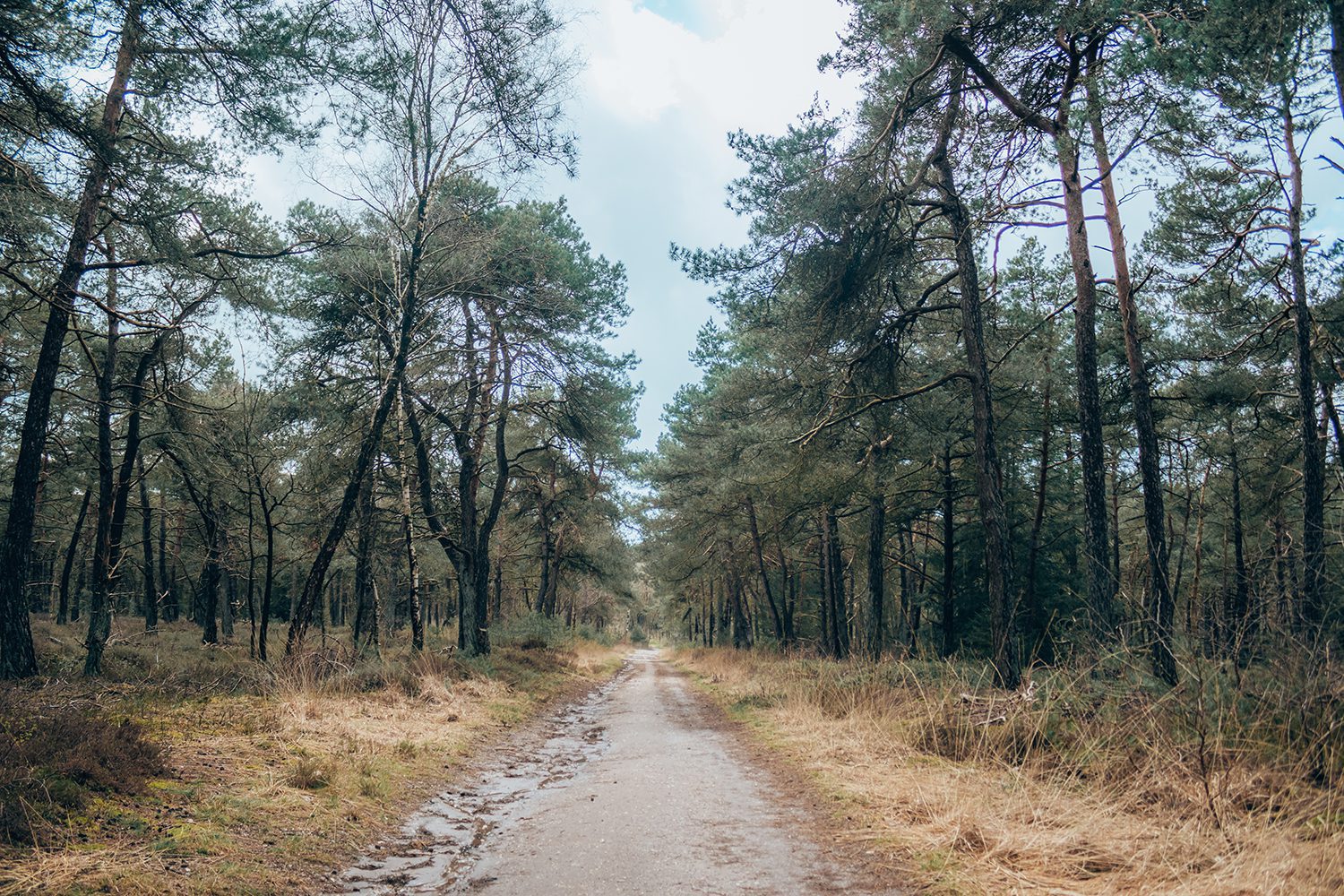 wandelroute Holterberg