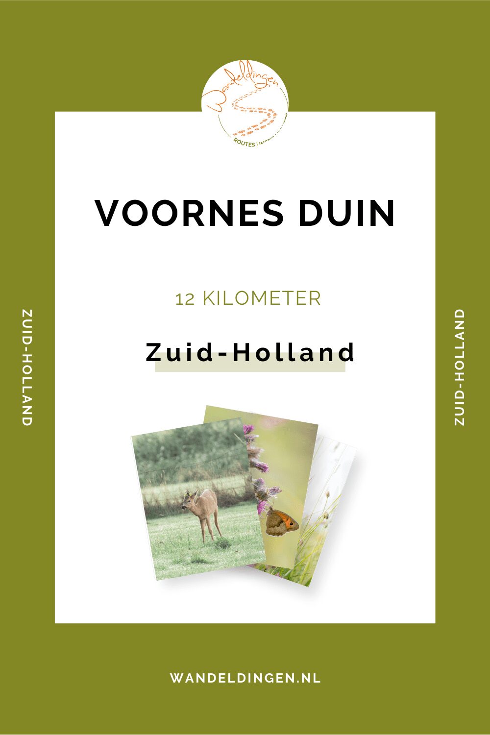 voornes duin 