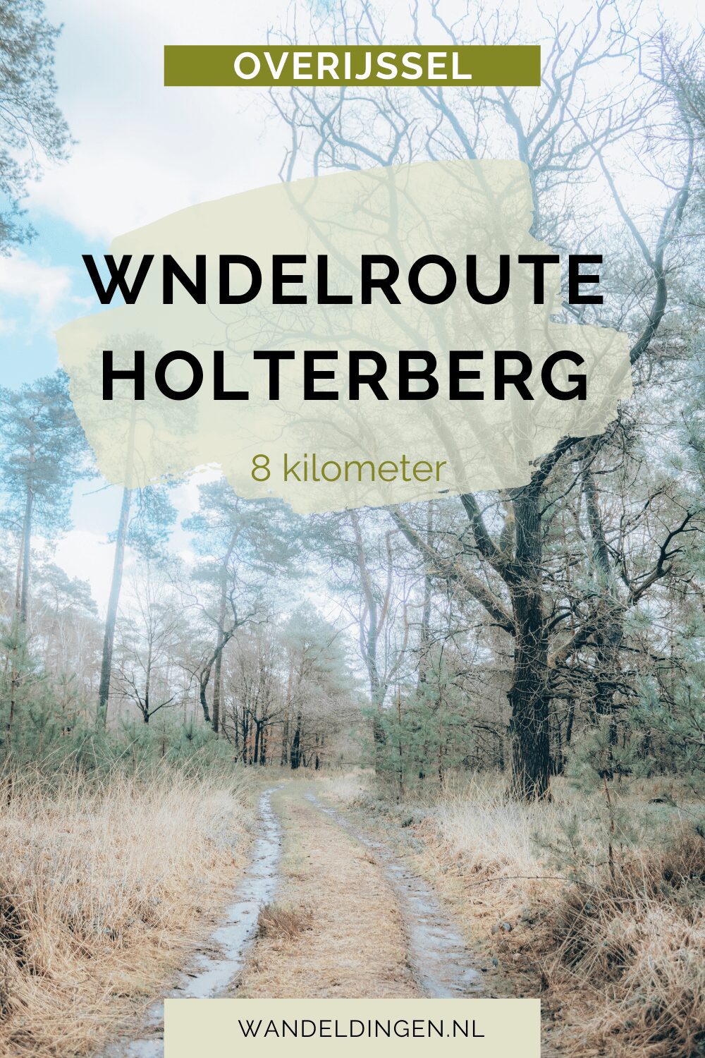 Wandelroute Holterberg