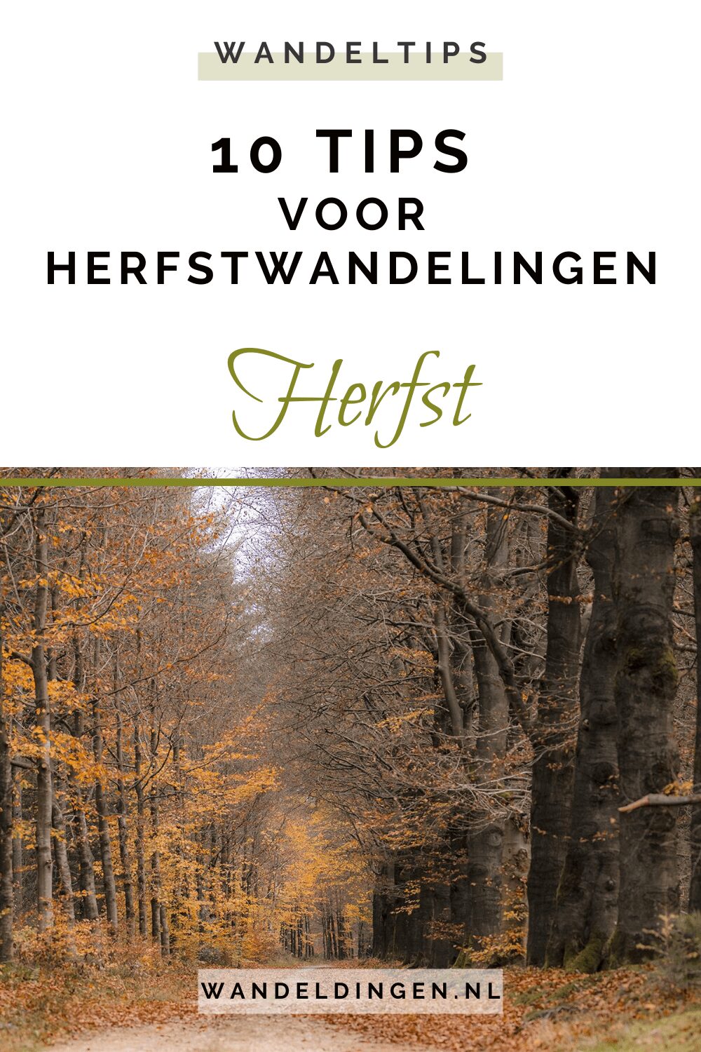 herfstwandelingen