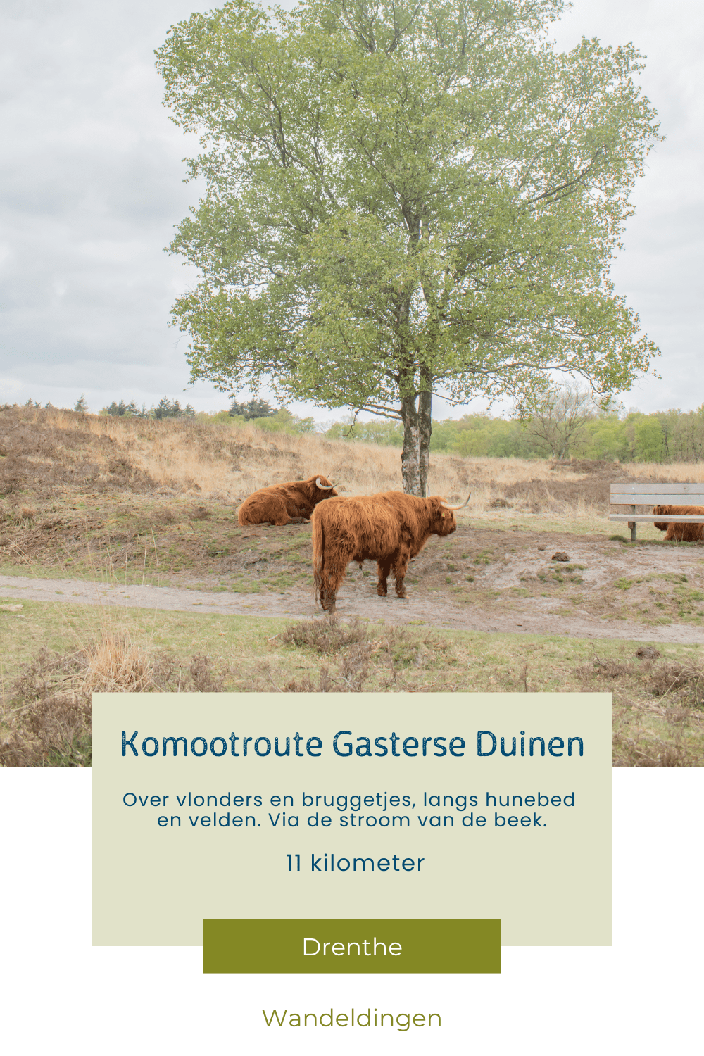 Gasterse Duinen