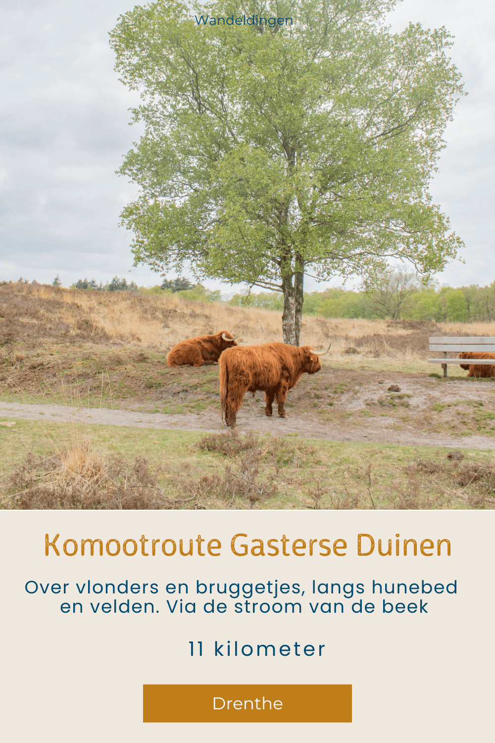 Gasterse Duinen