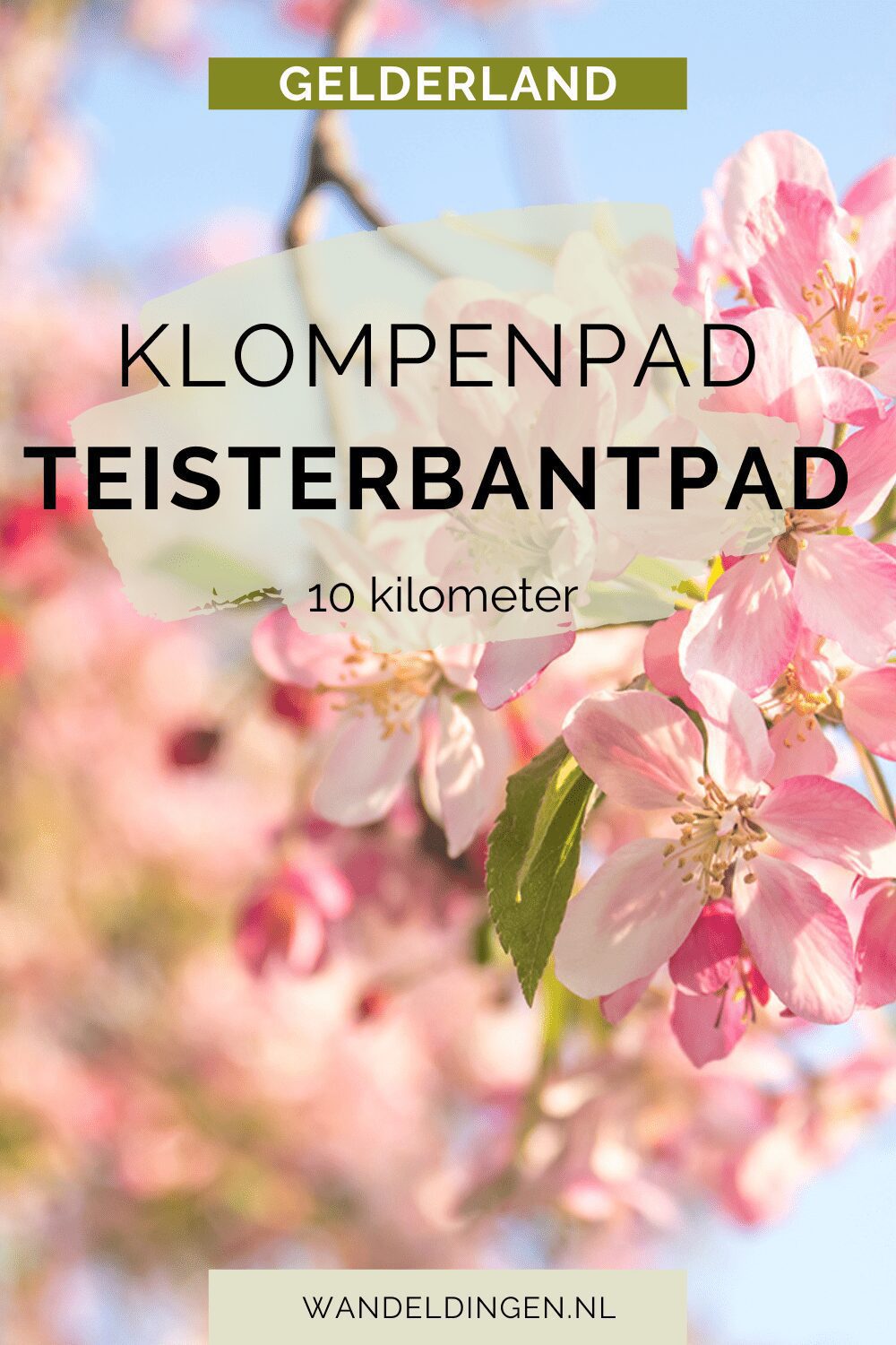 teisterbantpad