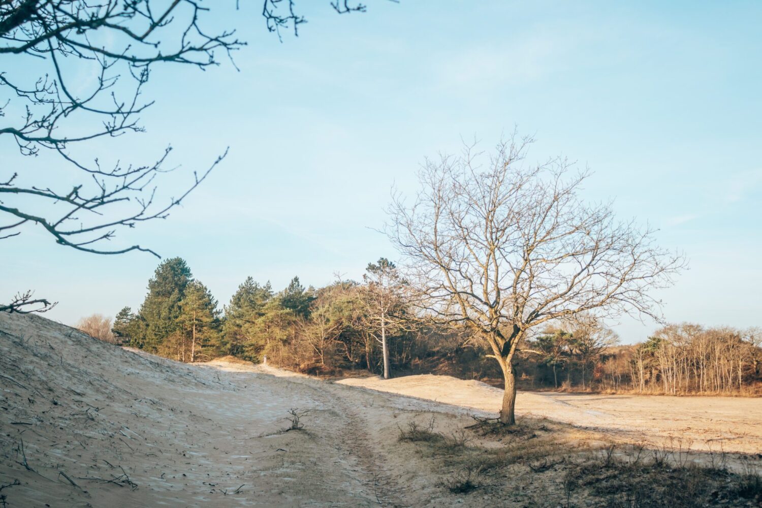 zuid-kennemerland