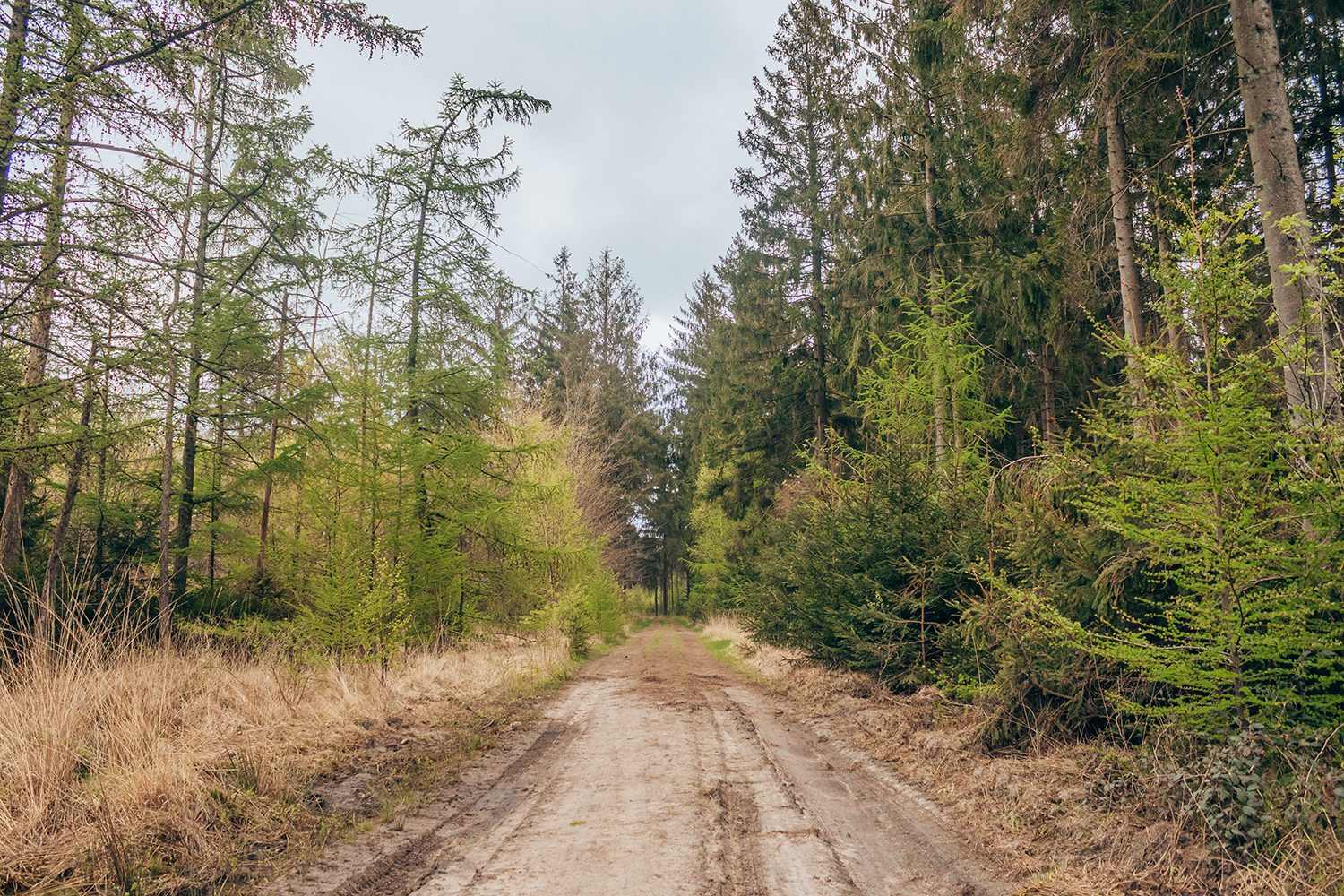 Wandelroute Westerbork