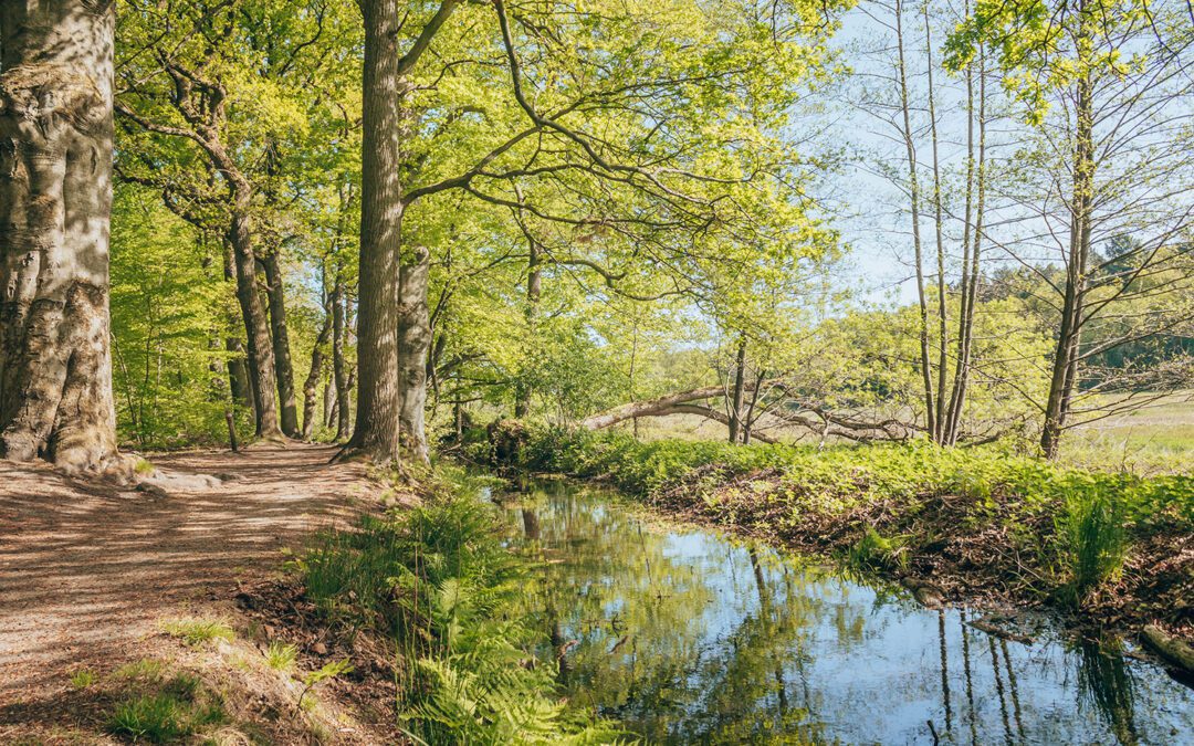 Trage Tocht Renkum 2