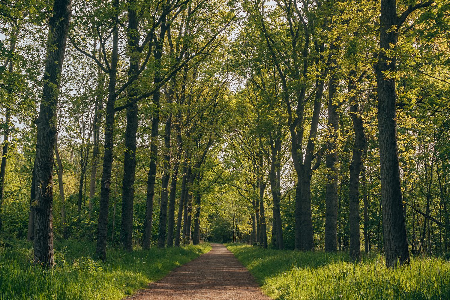 Trage Tocht Wassenaar